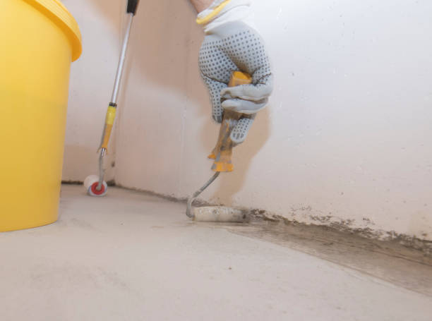 Best Fumigation Services  in Port Norris, NJ